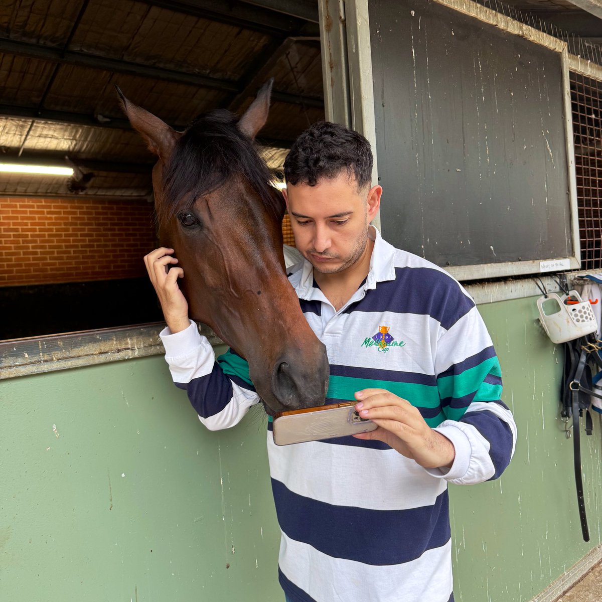 Rewatching the Herbert Power Stakes with Whisky On The Hill. Not sure who had a longer face…

Big chance in tomorrow’s G3 Queen Elizabeth Stakes ❤️🤍💙