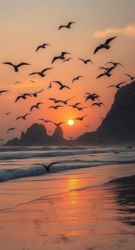 Cool & Calm tweet media