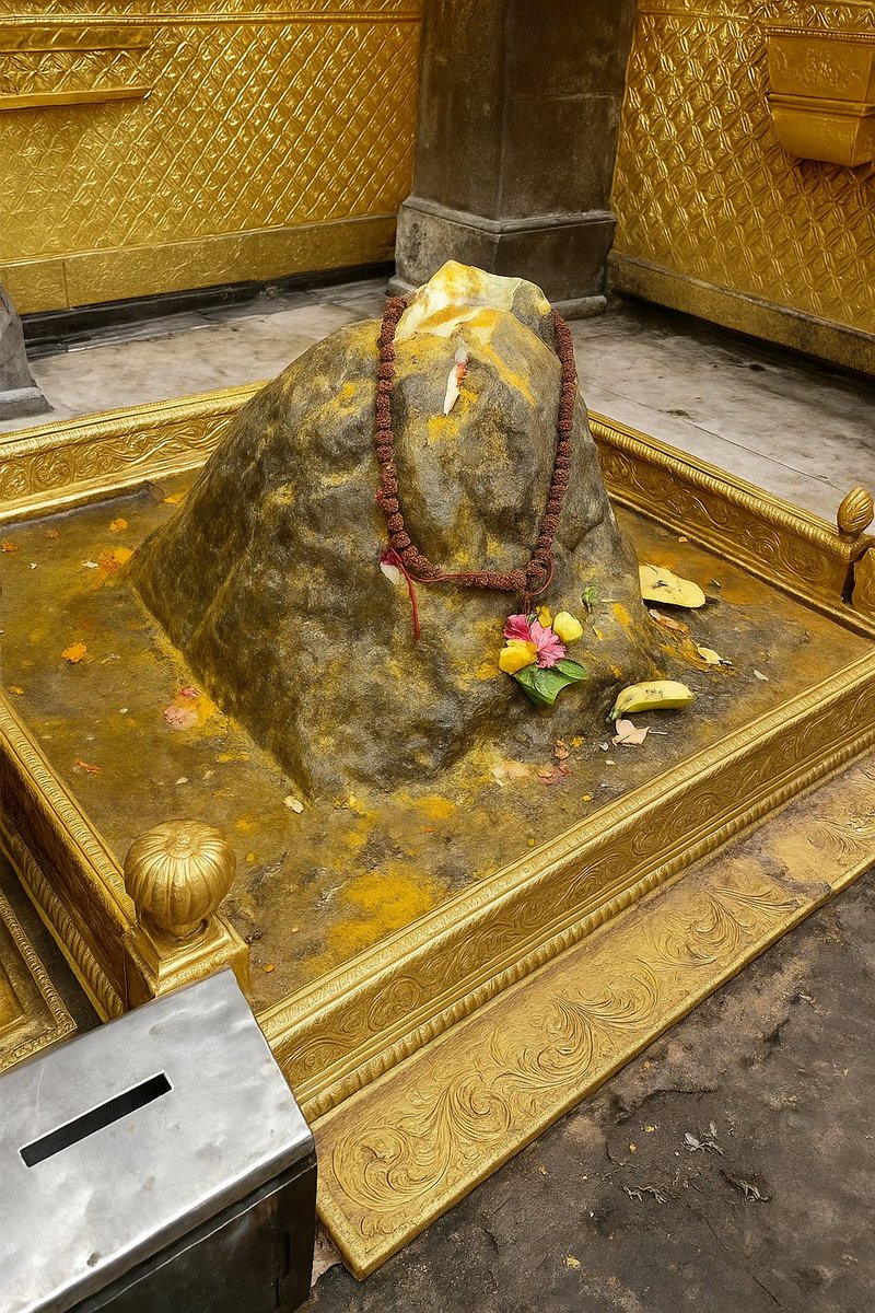 ब्रह्म मुहूर्त में केदारनाथ महादेव के अद्भुत दर्शन