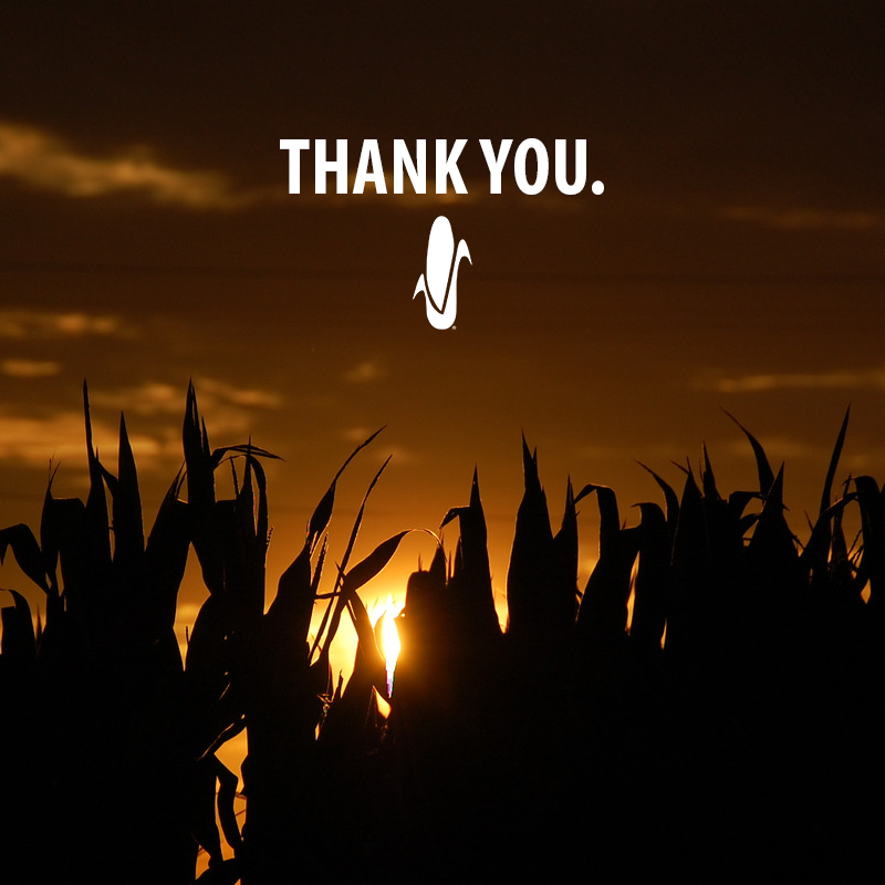 WyffelsHybrids's tweet photo. As the 2025 harvest sunsets, we wanted to say thank you.
When it comes to selecting your seed corn partner, we know you’ve got a choice to make. We're proud to be independent and family owned, and we're proud to serve you.
#PlantWyffels https://t.co/inzLnKnQDW