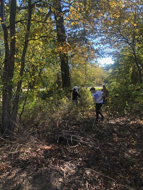 Groundwork HV tweet media