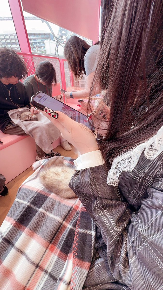 SWEETSUSID's tweet photo. ろんぐ恋しすぎるﾉω･､） ｳｩ･･･ https://t.co/Sy9WuVY3Qw