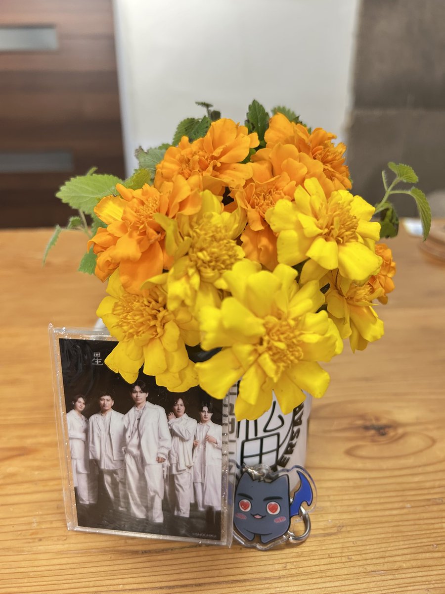 確認ページ♡にゃんこ＆わんこ にゃんこサバイブ on X