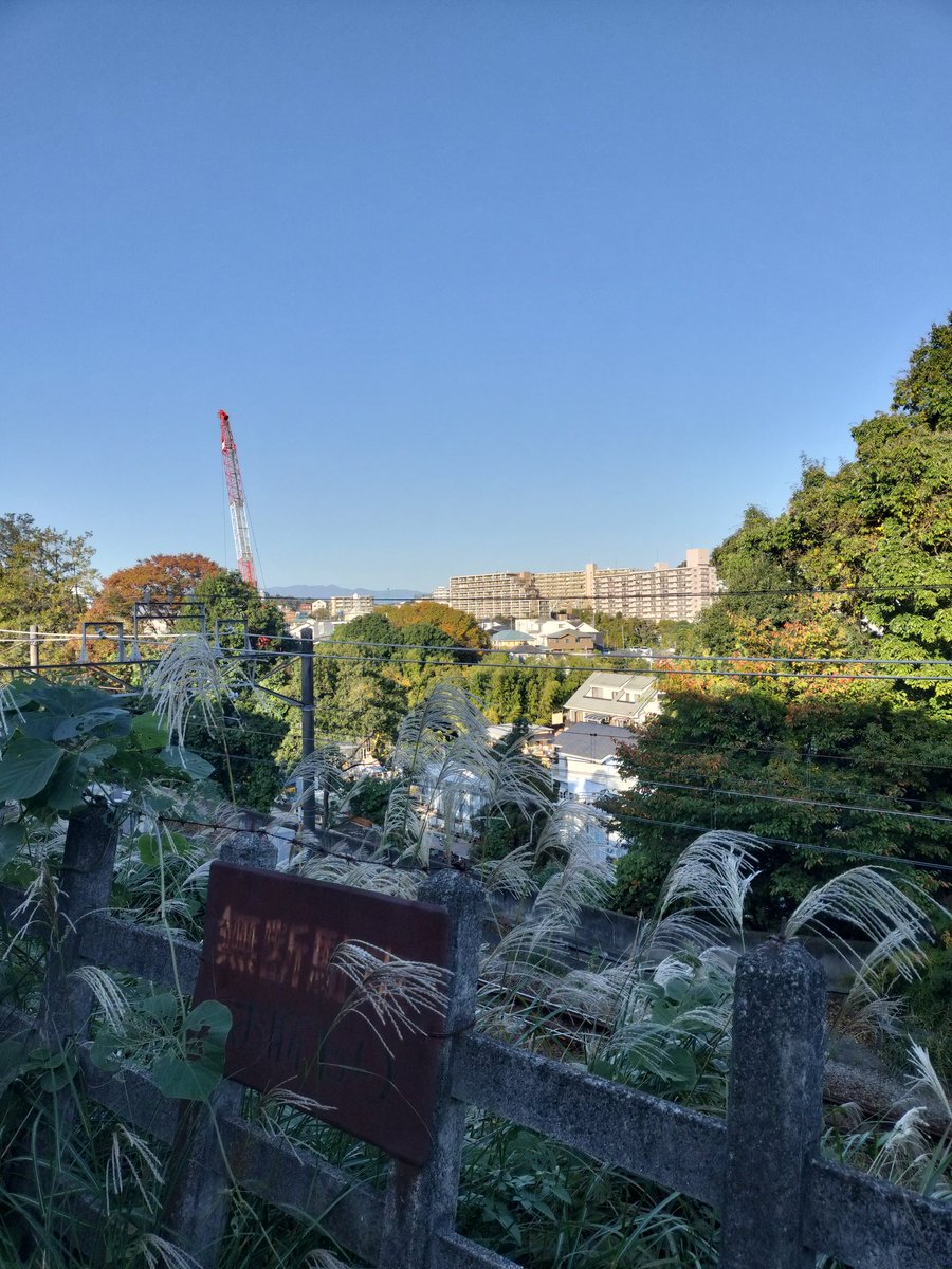 koara805's tweet photo. おはようございます

明けない夜はない
雨もいつかあがる
辛い時も悲しい時も
嬉しい時も笑顔の時も

晴れ渡る快晴、今日も１日頑張りましょう

#ポエム
#ポエム界隈
#詩
#web詩人 https://t.co/tcOxxj88uN