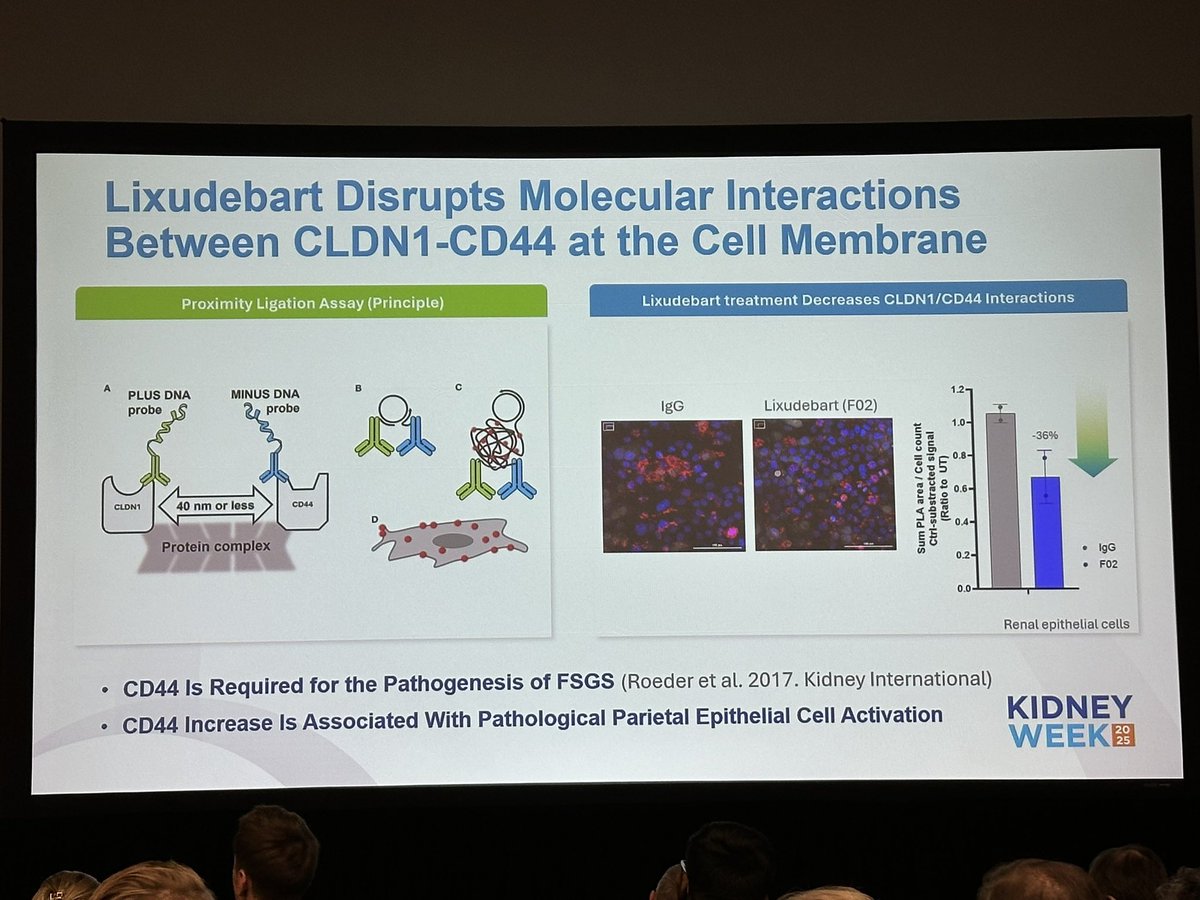 Benoît Brilland tweet media