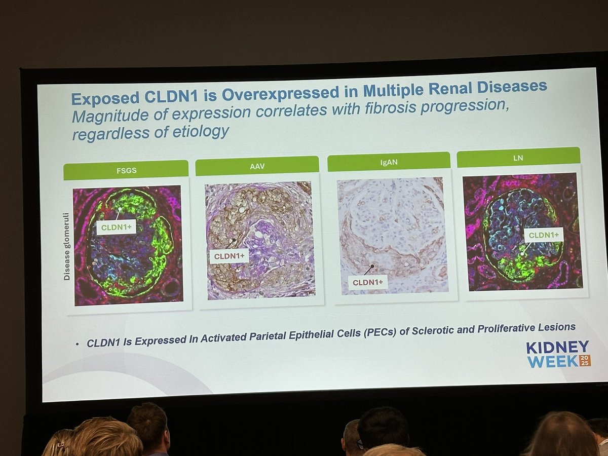 Benoît Brilland tweet media