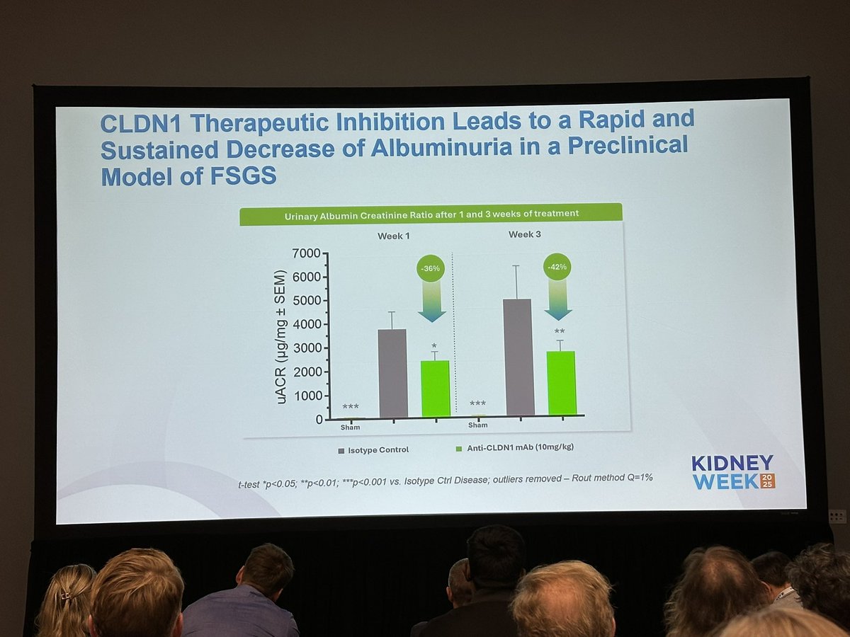 Benoît Brilland tweet media