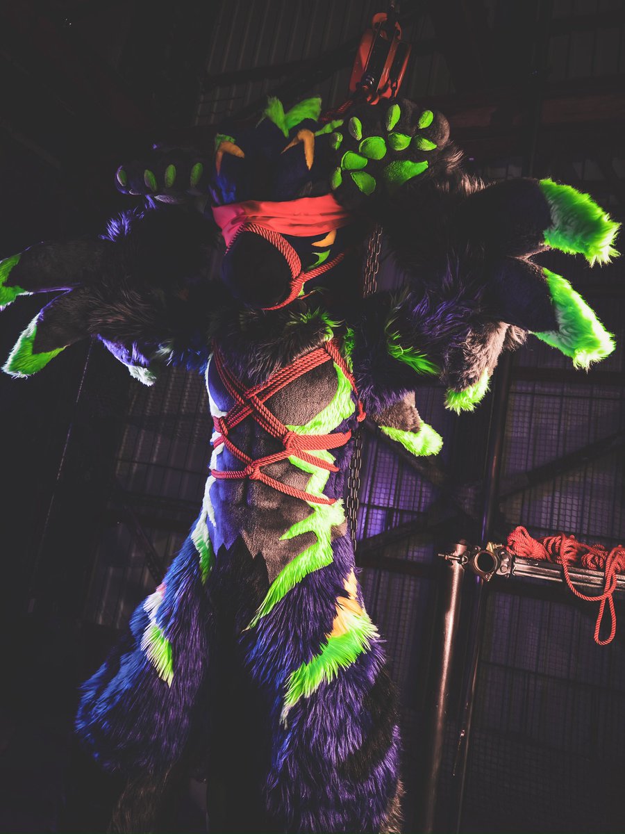 Help!
🪢📸：<a href="/tigersil37/">虎銀 Tigersil 🔜</a> 
後製：私
#きぐるみ花月
#FursuitFriday
#獣身売買3