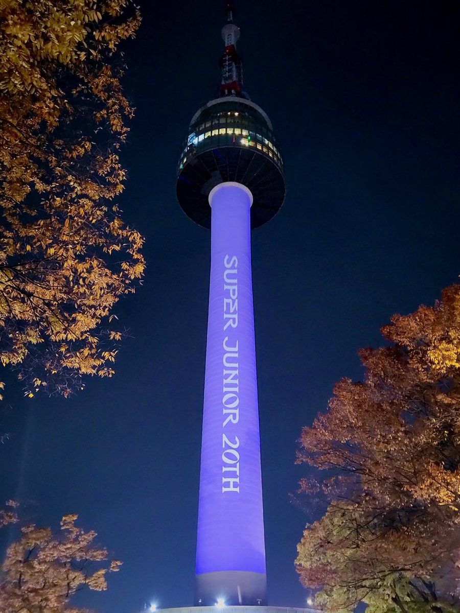 Me estás diciendo que la mismísima icónica Torre Namsan se iluminó en honor a Super Junior y ustedes juran que son unos who en Corea