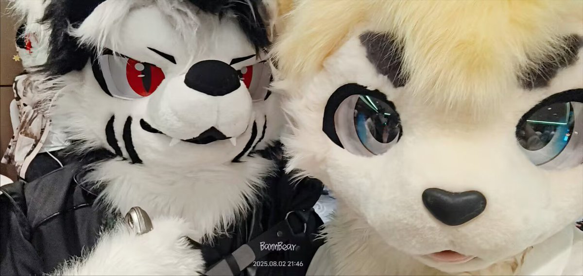 如果有一个必须去完成的愿望
我希望小熊能在另一个世界替我去自由
左@豺与抗凝剂 
#毛五 
#fursuitfriday