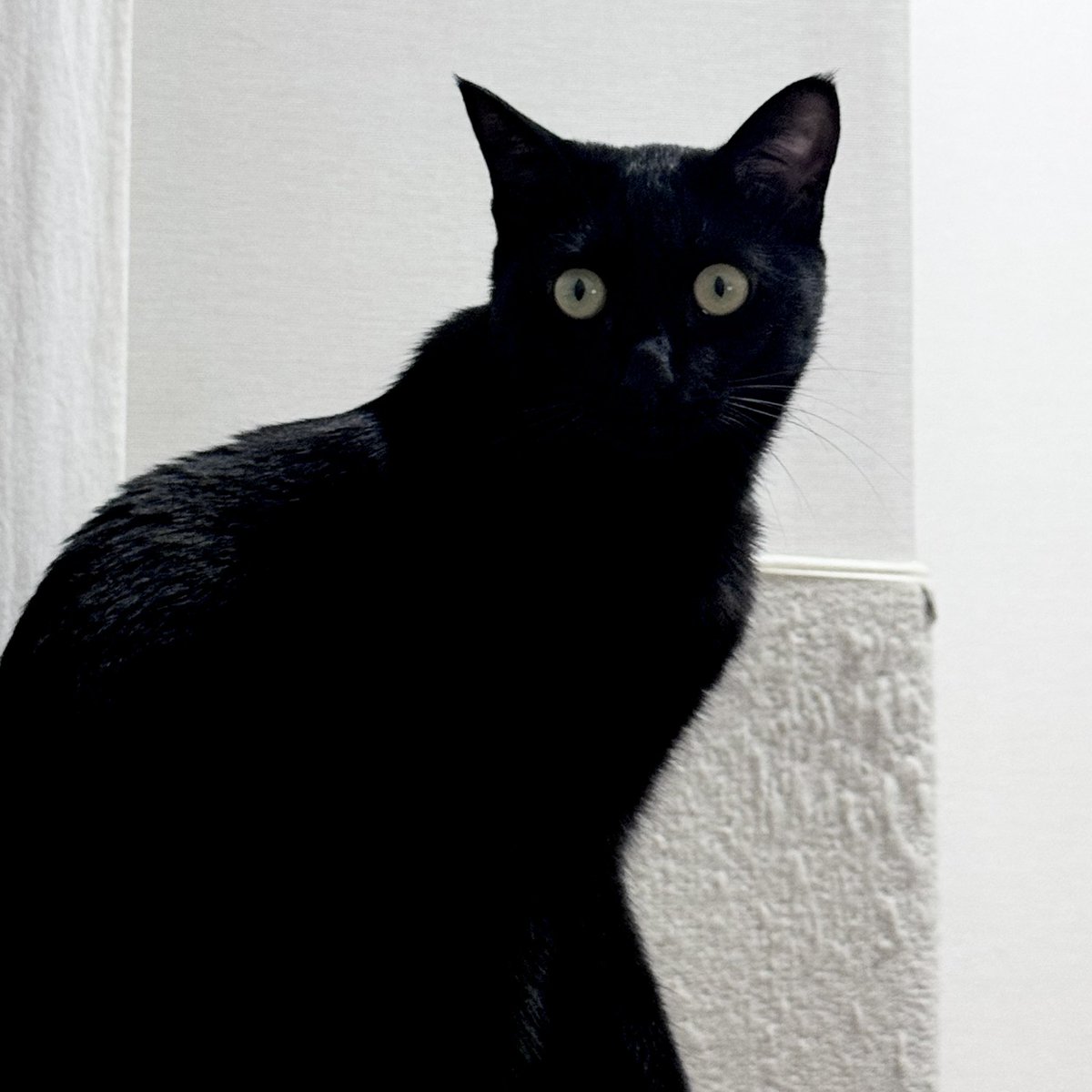 단밤 ✧☾ tweet media