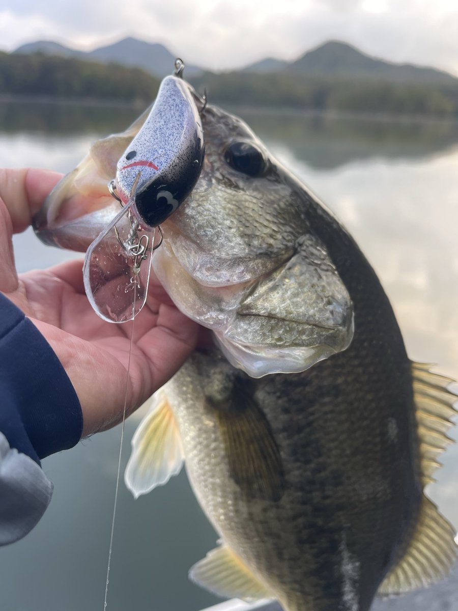 Hideto Koyama 【コイズタックルボックス】 (@americakoyama) / Posts / X