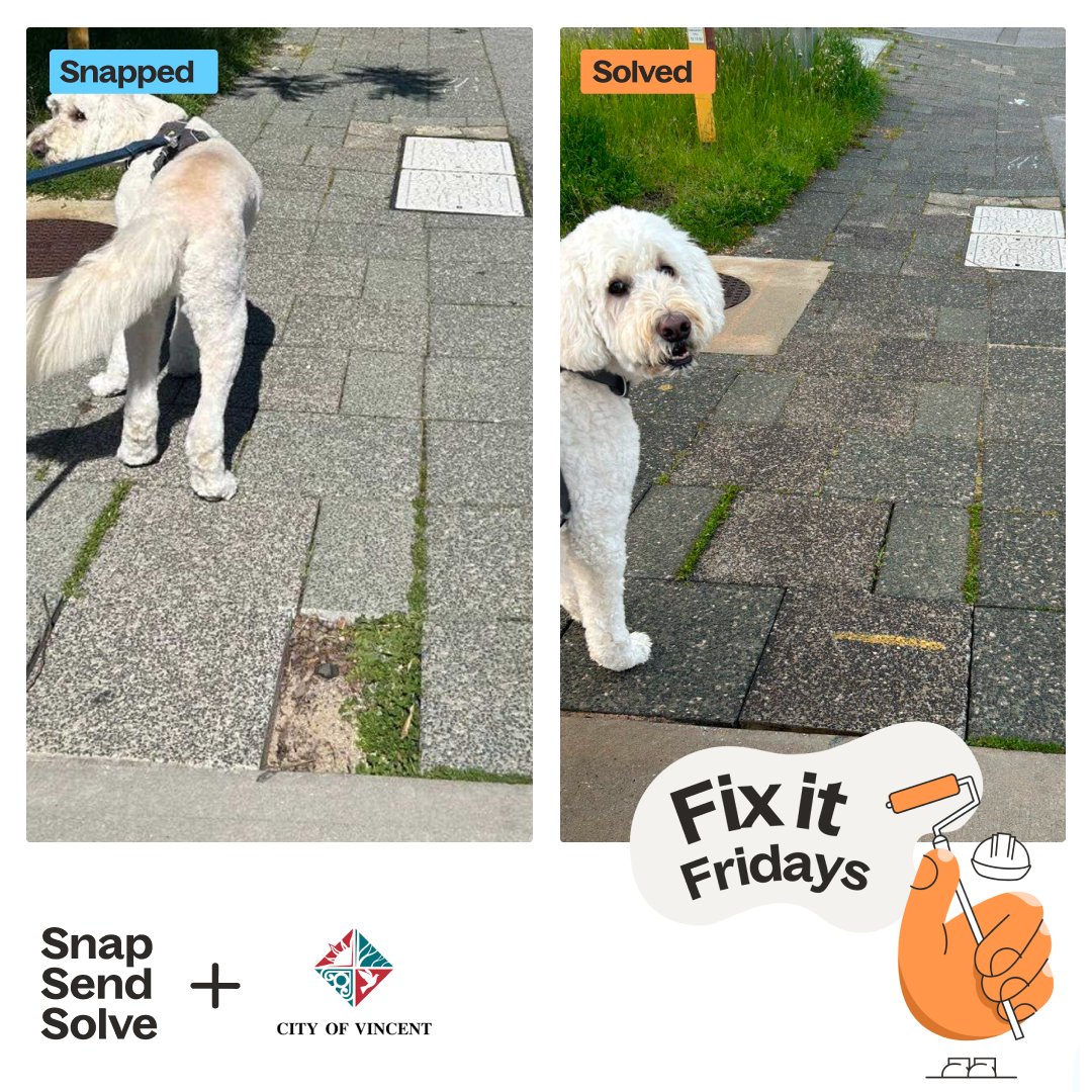 SnapSendSolve's tweet image. Fix-it Friday is looking paw-sitively good this week, thanks to the @cityofvincent. 🐕

This footpath was missing a paver, but luckily, our four-legged friend was there to point it out (or at least pose perfectly for the &apos;before&apos; and &apos;after&apos; shots).

#FixItFriday #CityOfVincent