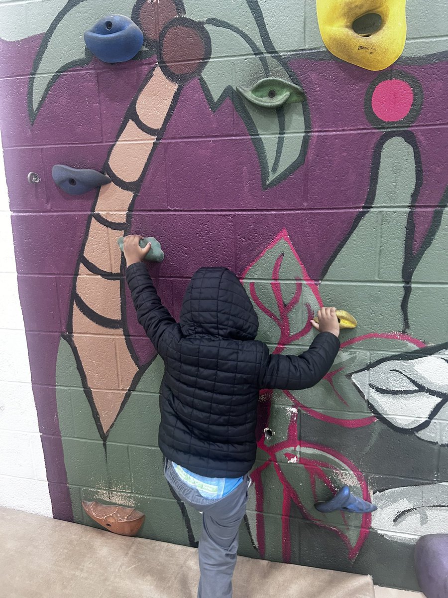 Did somebody say rock wall?!