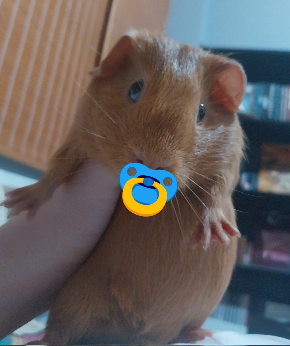 morbidwave's tweet image. 