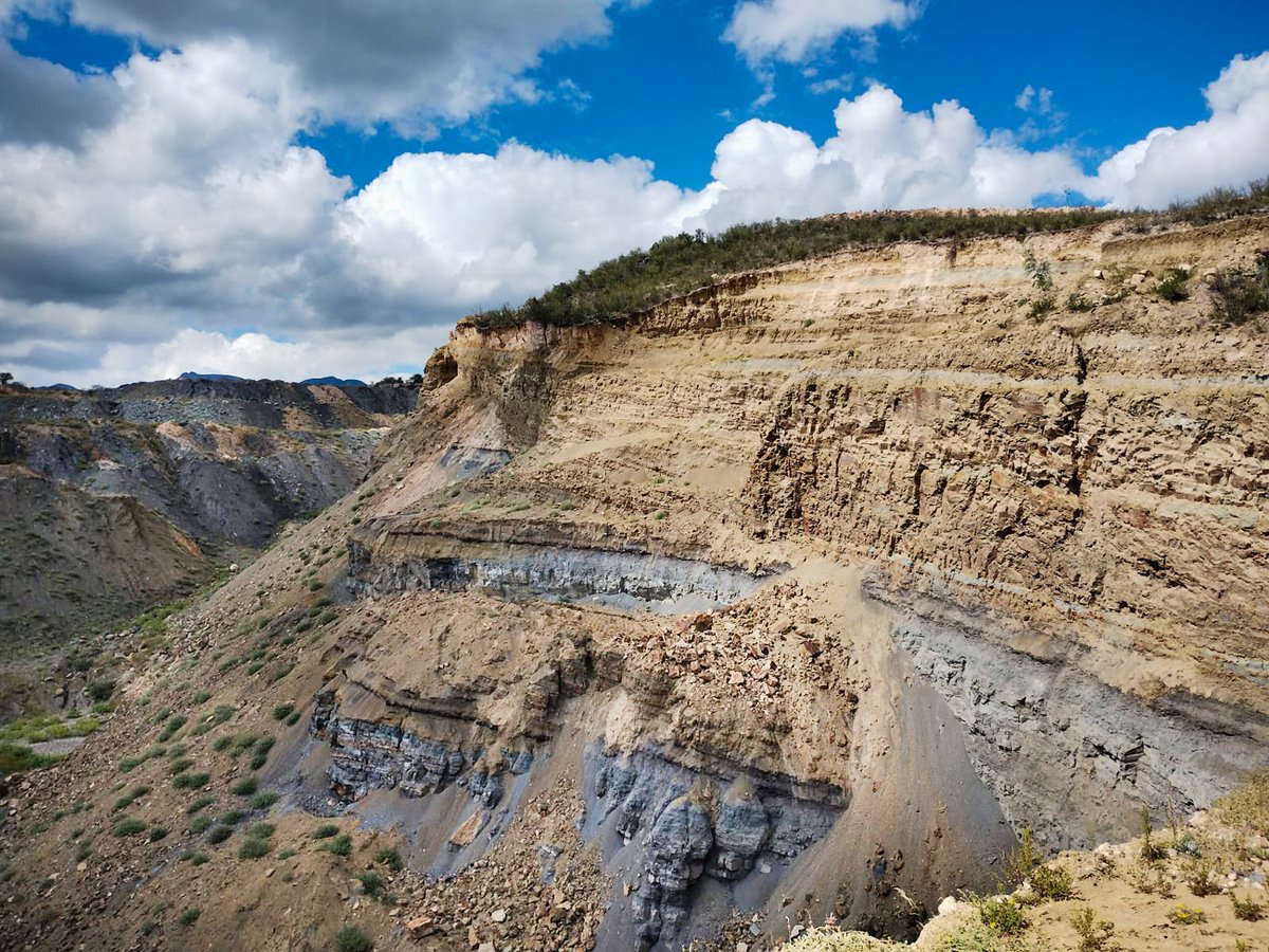 Profepa refuerza sus labores de vigilancia en el estado de #Coahuila, donde realizó diversas inspecciones en terrenos forestales y a empresas dedicadas a la extracción de mineral de carbón, para garantizar el cumplimiento de la legislación ambiental en materia forestal y de