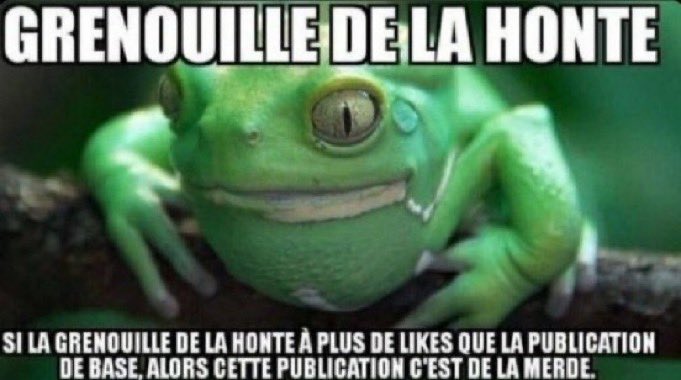 edgarito tweet media