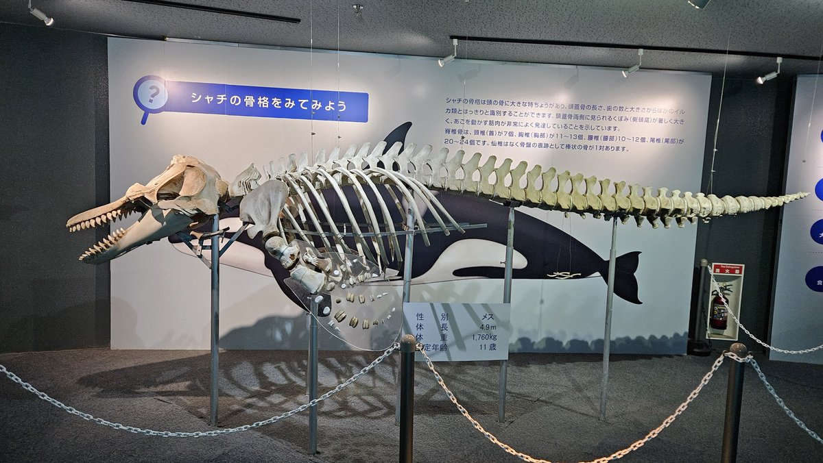 はなき❄ tweet media