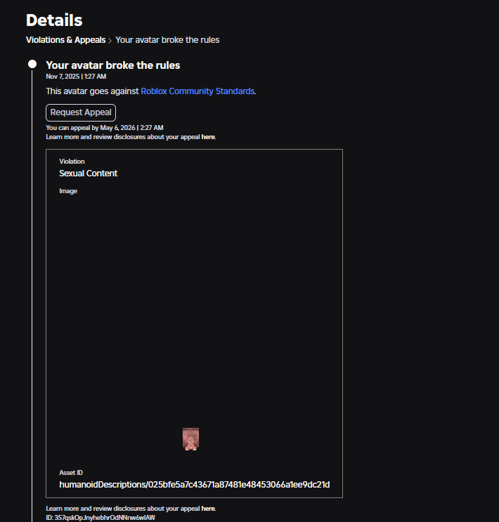 <a href="/Roblox/">Roblox</a> What is this moderation?