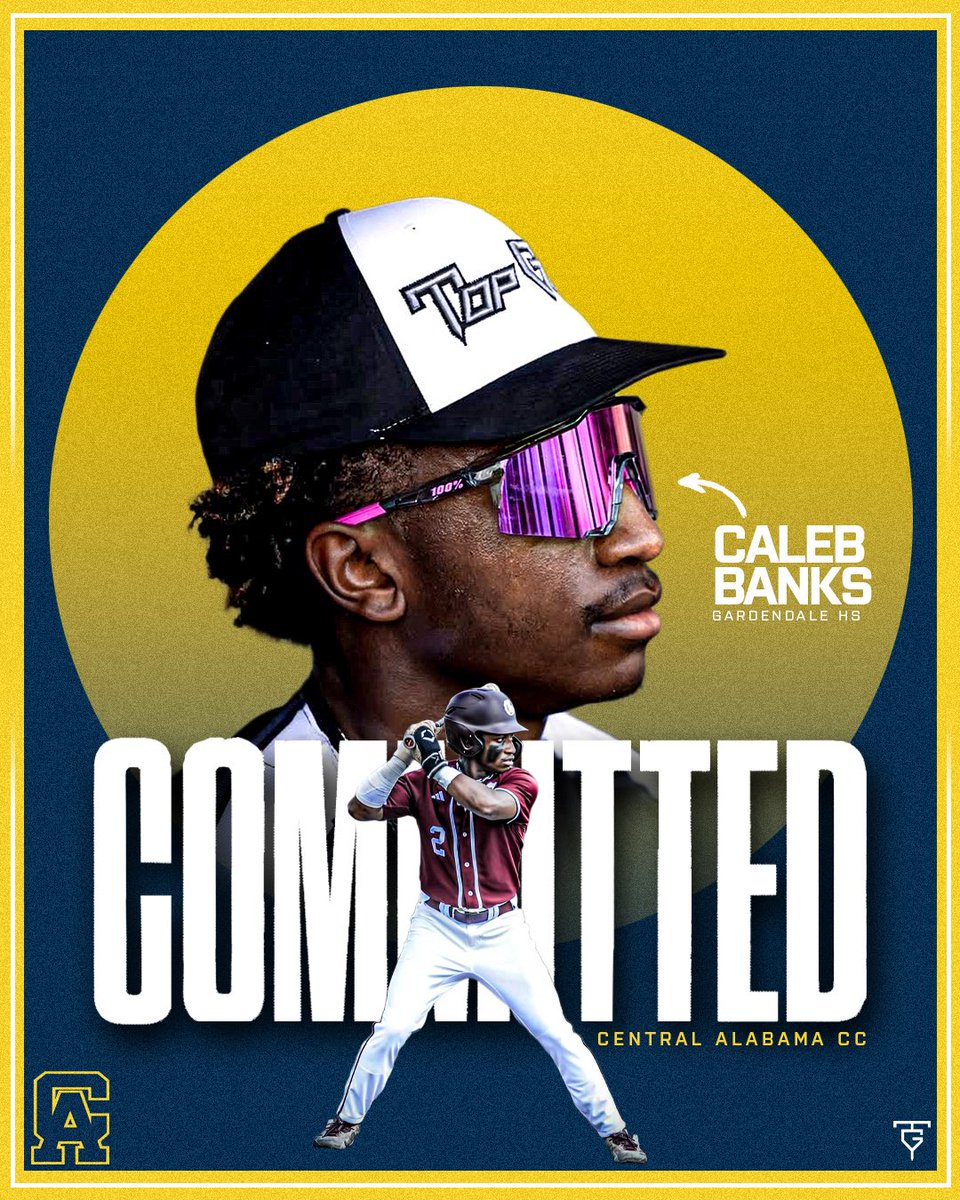 Top Gun Baseball tweet media