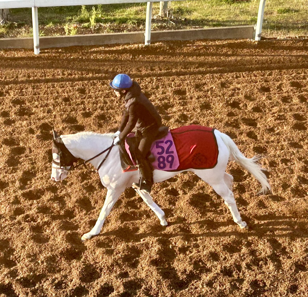 スノーエルヴァ