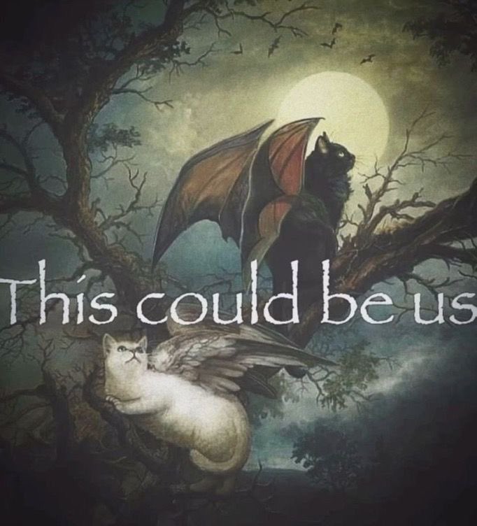 tagyourwho's tweet image. 