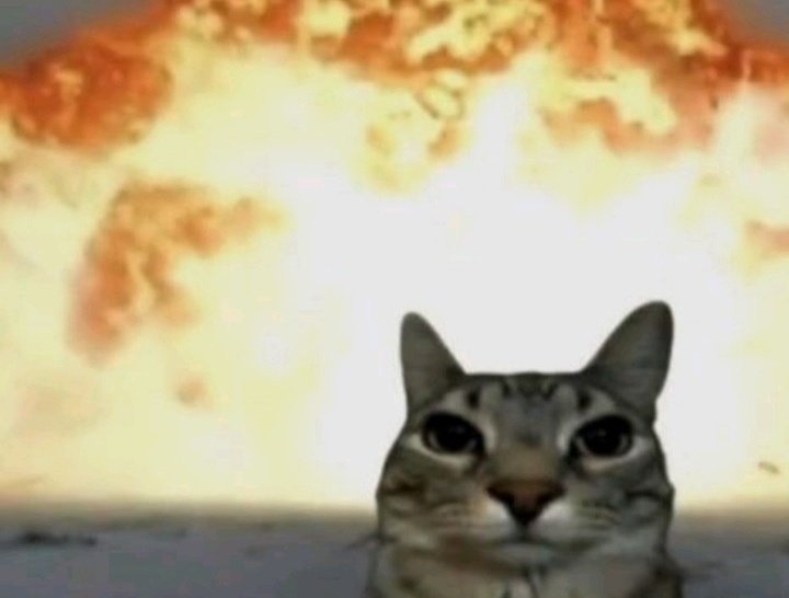 koci_supremacy's tweet image. not to be #that type of fan but why can&apos;t ava be active like this with her fans from time to time..? like it costs nothing, and she has like 30 fans remaining...