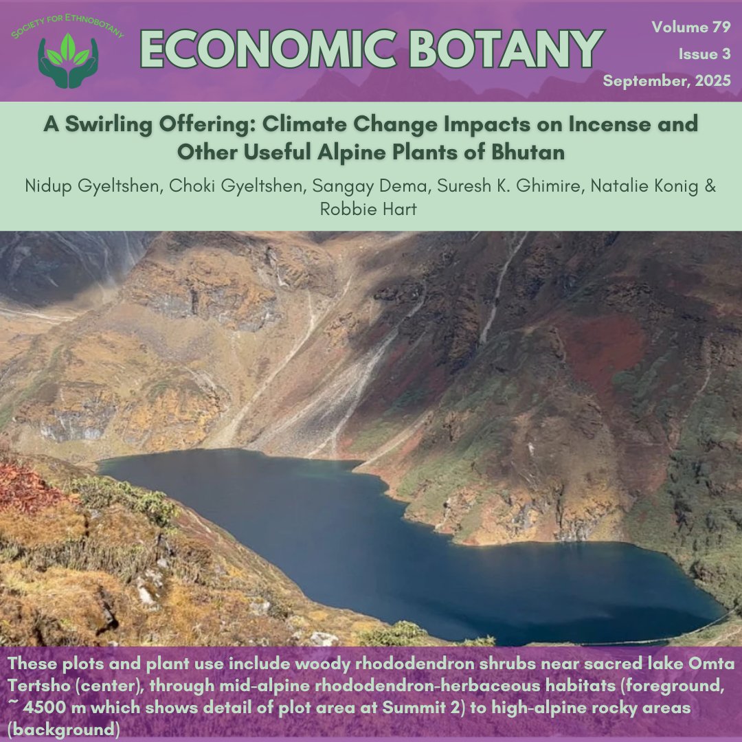 SEBotany's tweet photo. Have you had a chance to check out this new article in September's issue of Economic Botany?
Make sure to take a look at this piece about the climate change impacts on alpine plants in Bhutan! Log into https://t.co/icmlMdUjsw to read more πΏ
#sebotany #ethnobotany #incense https://t.co/4yEf01jPvG