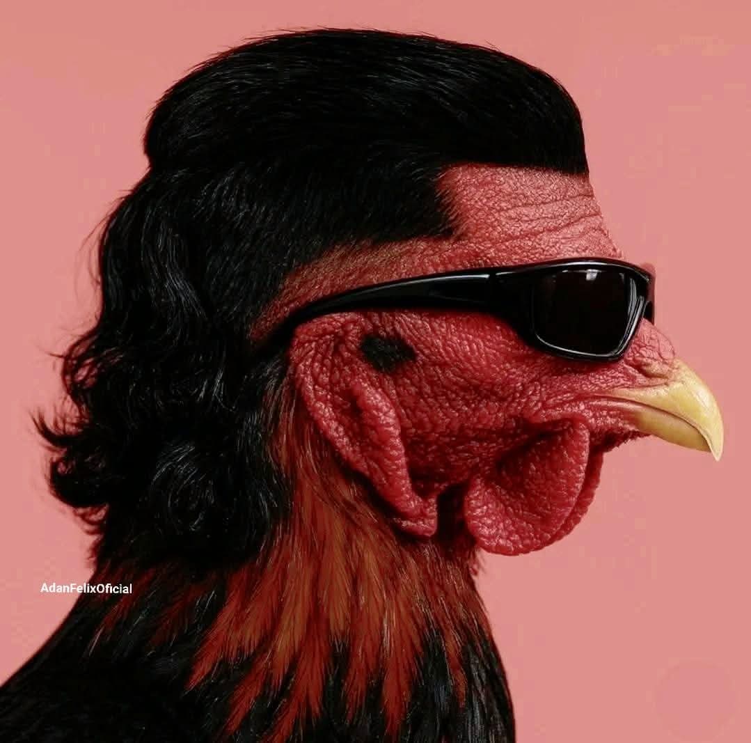 Dr. Marihuano 🎭 🐦 tweet media