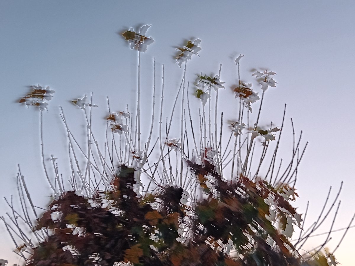 6. XI. 2025, 16:47

Accident.