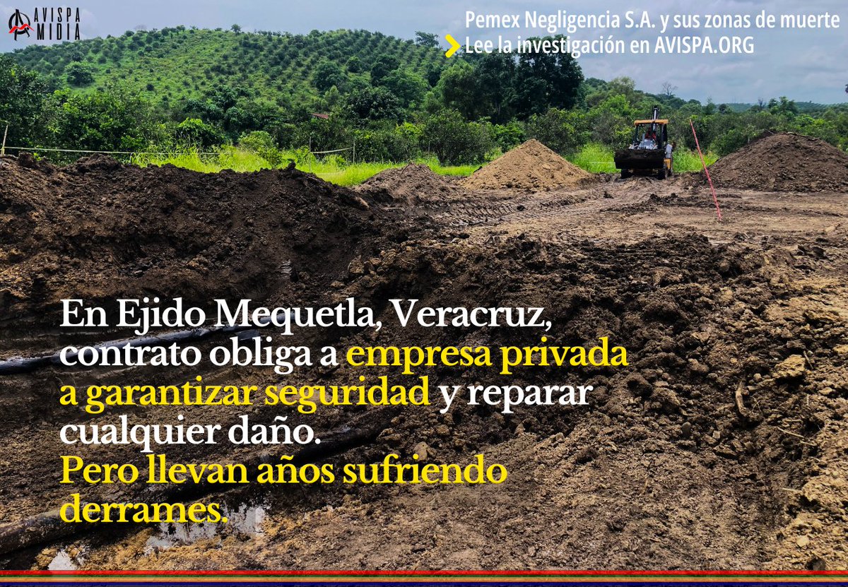 Avispa Mídia tweet media