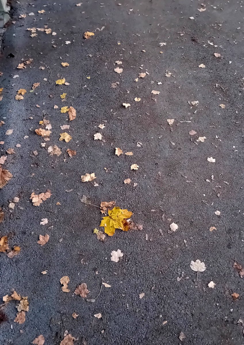 6. XI. 2025, 16:51

Never forget me.