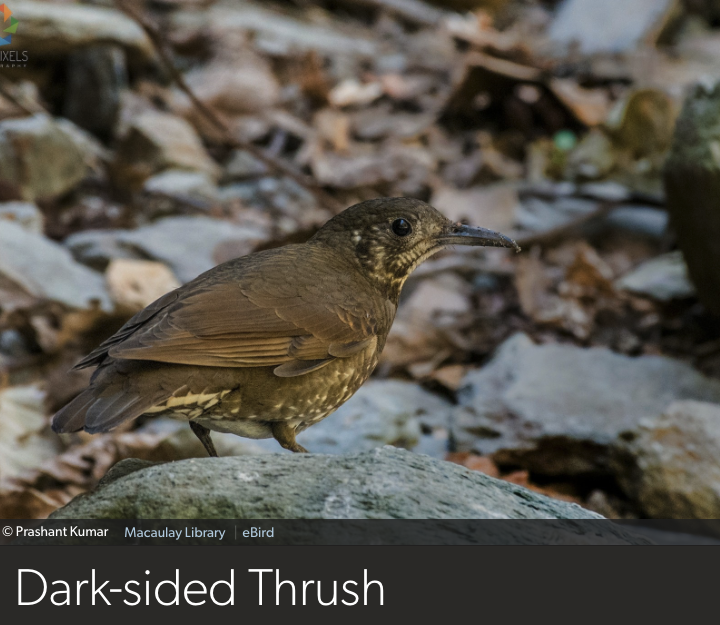 Dan Baldassarre tweet media