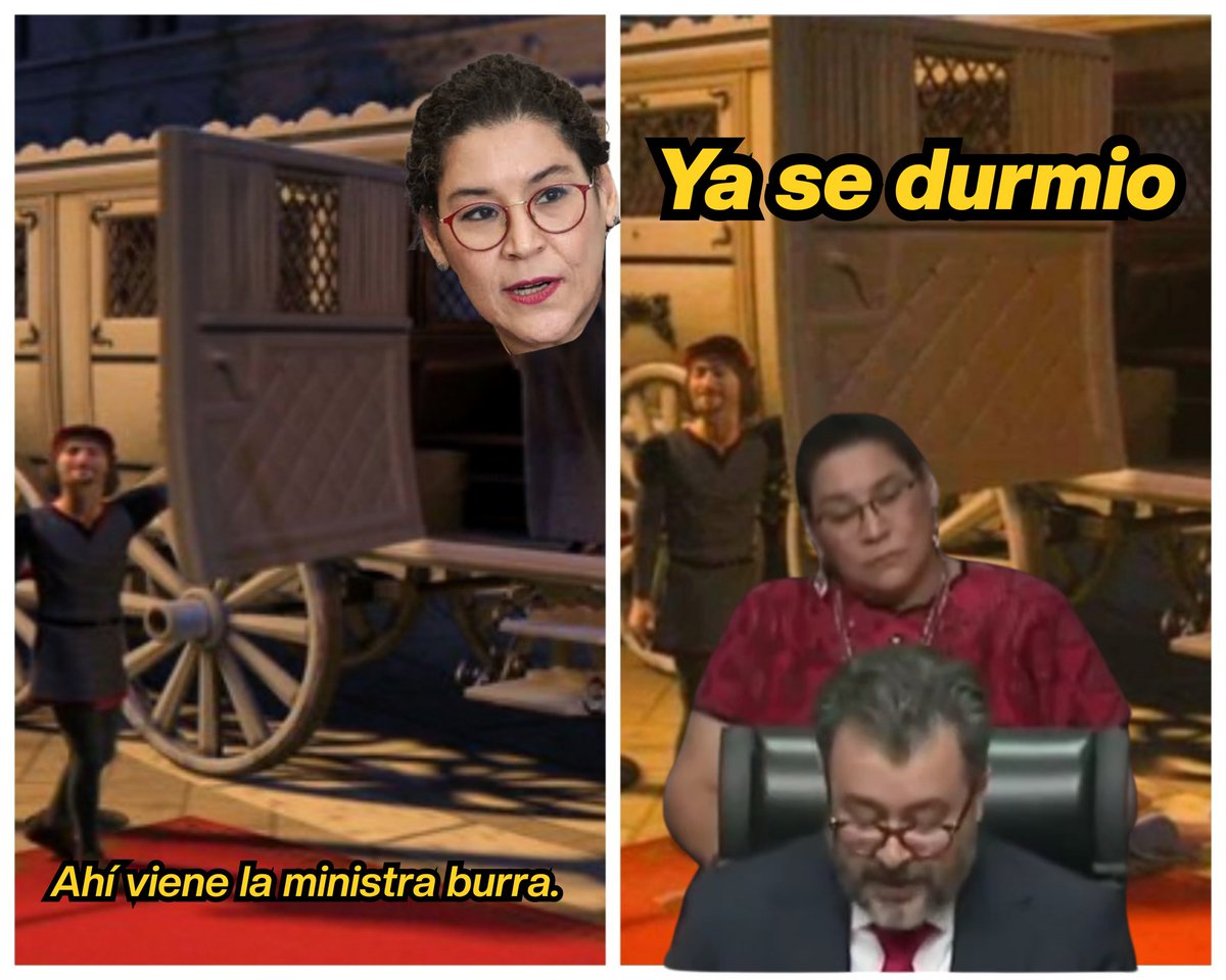 Ahí viene la ministra burra (Lenia Batres)

- Ya se durmio 😴😴