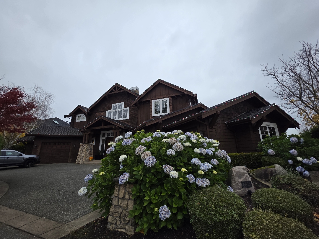 soundcleaning's tweet photo. ✨ Make your home shine this season! ✨
Now’s the best time to book residential holiday light installation in Seattle. We install your lights or ours, customize designs, &amp; you can bundle services like gutter or window cleaning too! 🎄🏠
More here: https://t.co/2gDK6pvred https://t.co/BJipS3bUwB