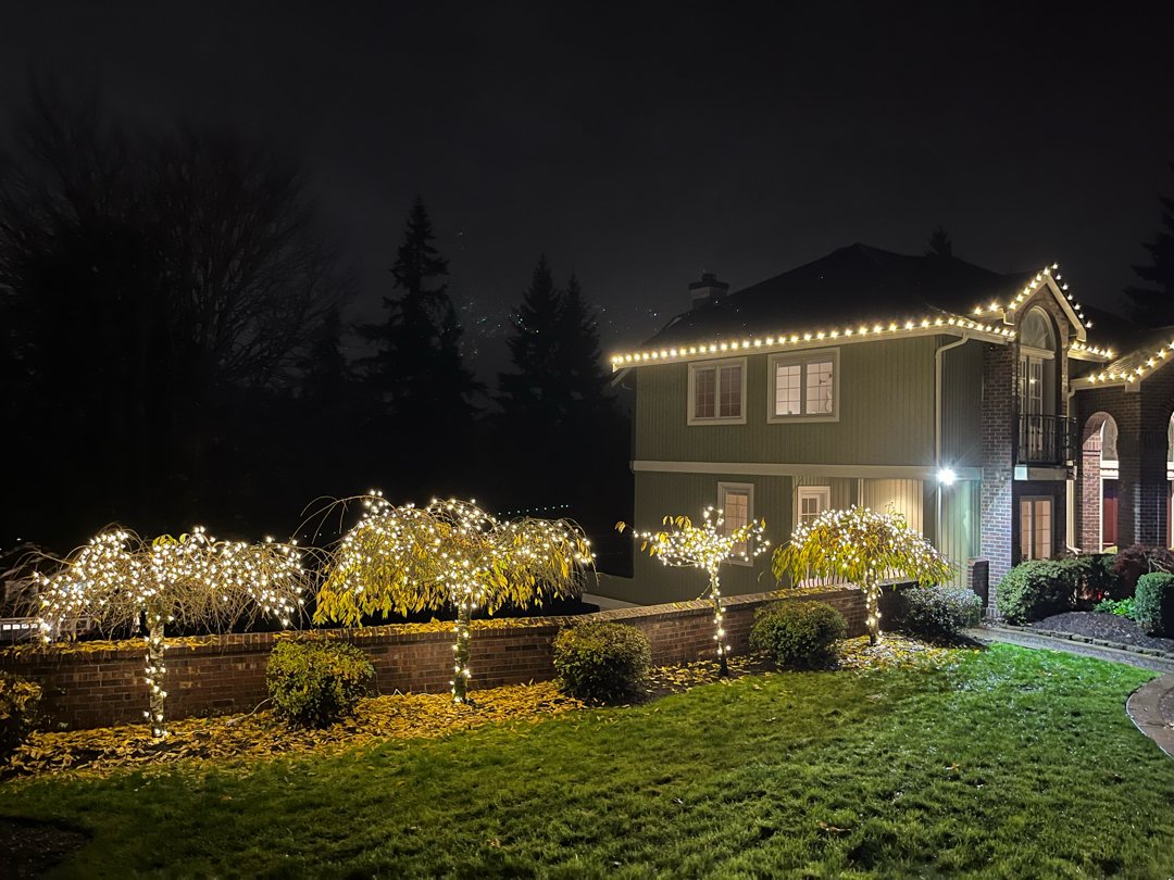 soundcleaning's tweet photo. ✨ Make your home shine this season! ✨
Now’s the best time to book residential holiday light installation in Seattle. We install your lights or ours, customize designs, &amp; you can bundle services like gutter or window cleaning too! 🎄🏠
More here: https://t.co/2gDK6pvred https://t.co/BJipS3bUwB