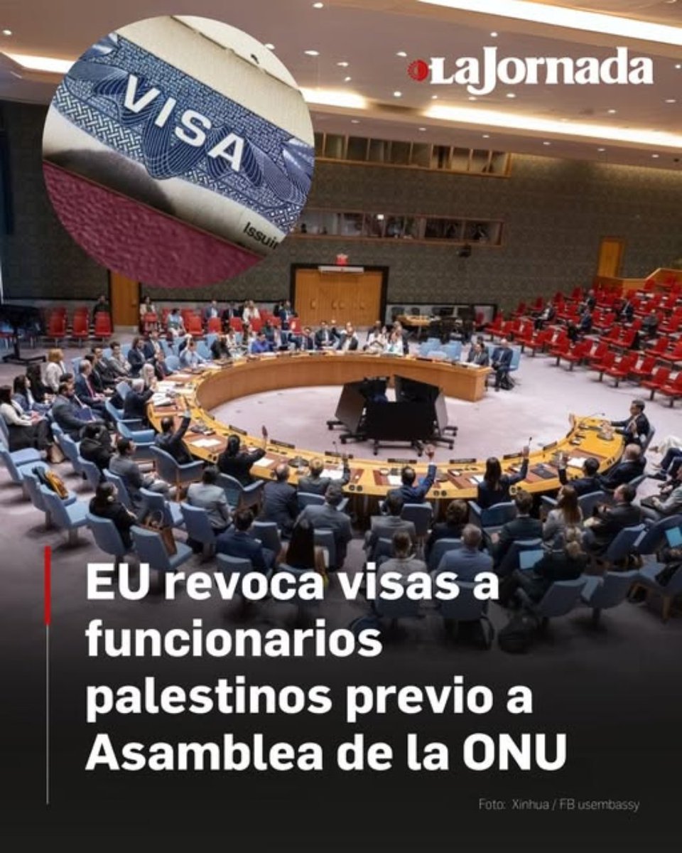 epicentro_TS's tweet photo. El dolor y la destrucción en Palestina a través de imágenes
En esta sección, titulada “Palestina en imágenes”,  les compartimos la cruda realidad del genocidio del pueblo Palestino.
¡No dejemos de hablar de Palestina!
@AdrianaOrn_TS 
#Palestina #fypシ https://t.co/SSPDFRW4Cd