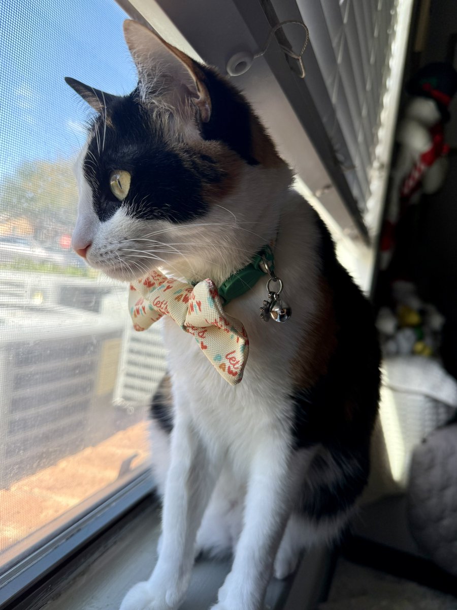 Balloon Day 🎉🎈✨