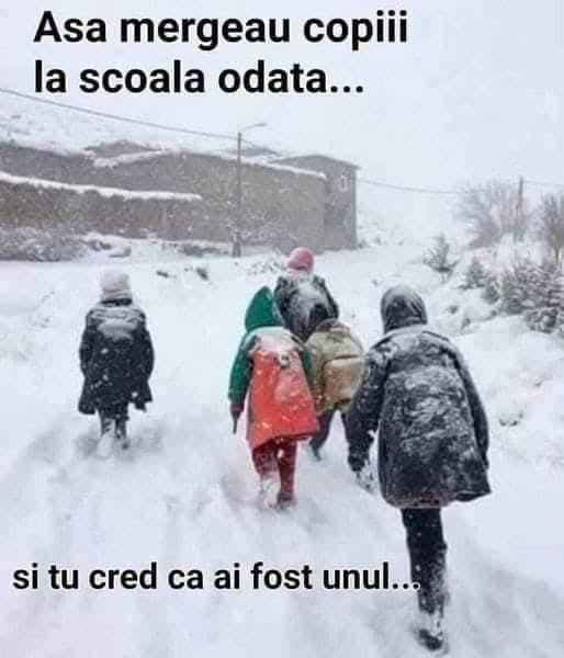 Branzea Constantin tweet media