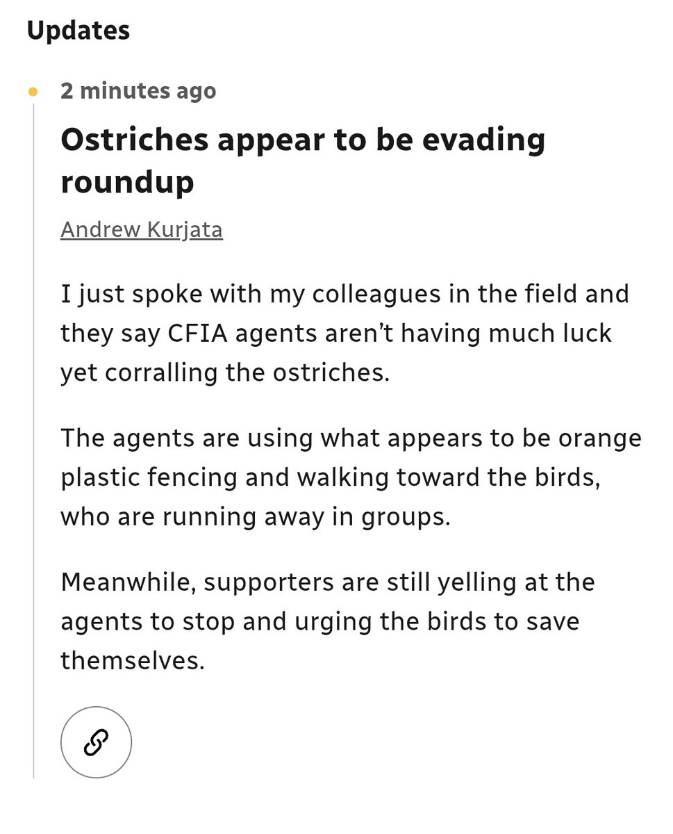 PresidentMunku's tweet image. Girl