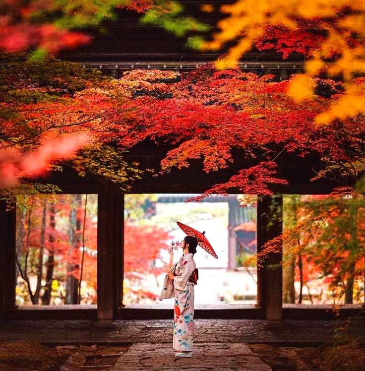 なっちやん なっちゃん🍊12万人 on X