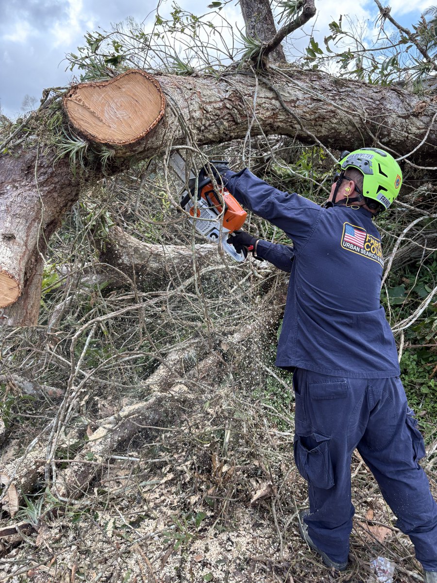 VA-TF1 / USA-01 - Urban Search and Rescue tweet media