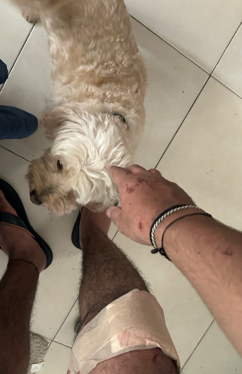 Trasteriing's tweet photo. No especifiqué entre animal y humano https://t.co/zBzZSYmYk2