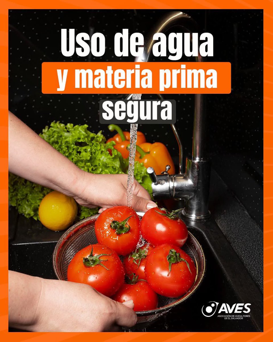 AVESELSALVADOR's tweet photo. Cuidar tu salud y la de tu familia comienza con pequeñas acciones ❤️ https://t.co/pLtrodI1dp