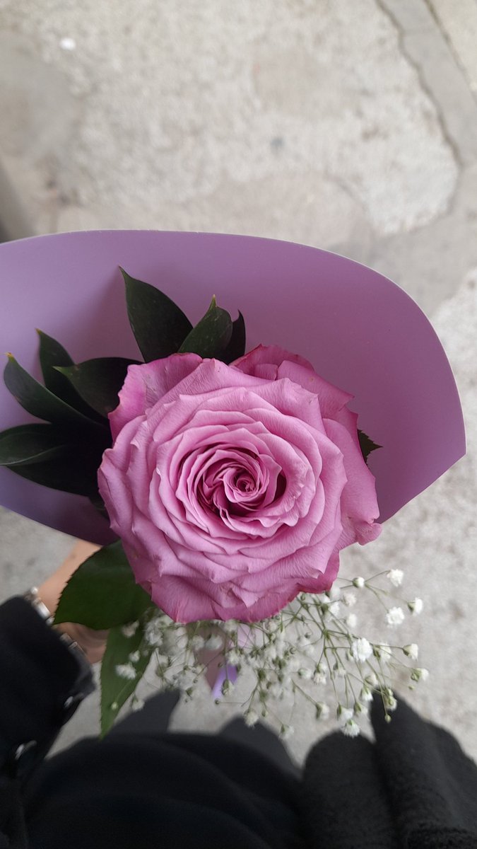 Günün güzelliği 🌷