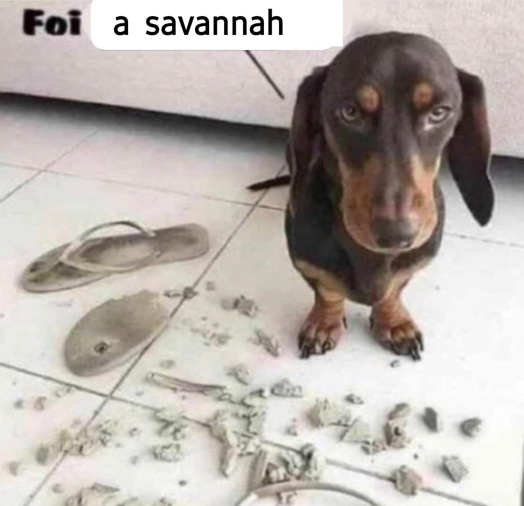 i2nanjun's tweet photo. falar da sav não vai fazer a fav de vcs hitar aceitem q ela flopou https://t.co/7lMKeSYJfa