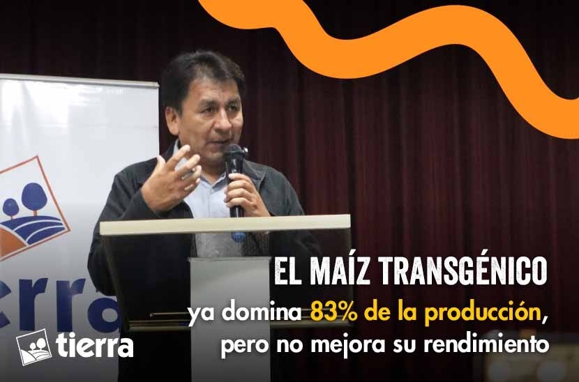 📌 EL MAÍZ TRANSGÉNICO DOMINA 83% DE LA PRODUCCIÓN, PERO NO MEJORA SU RENDIMIENTO
TIERRA presentó una investigación que confirma la amplia presencia del maíz 🌽 transgénico y abre un debate sobre el modelo agrícola que se consolida en #Bolivia.
📄 Nota 👇
ftierra.org/index.php/tema…