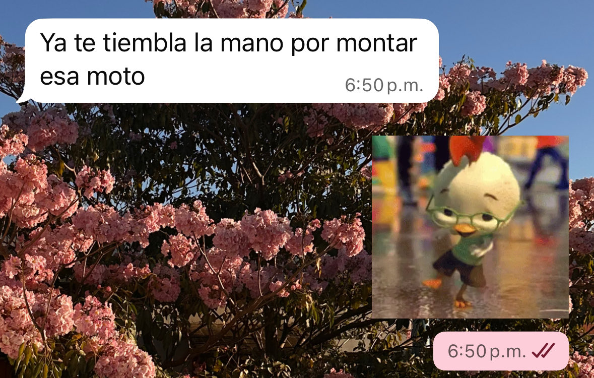 Santinno05's tweet photo. Jaja machin si 😶‍🌫️ https://t.co/SERFDe752Q