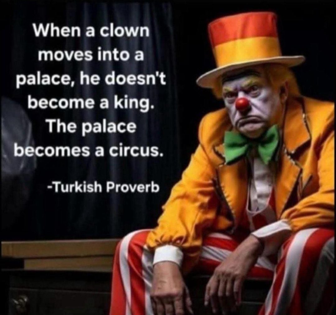 farhatsgd's tweet image. When a clown moves into a palace, he doesn't become a king. The palace becomes a circus. —Turkish Proverb