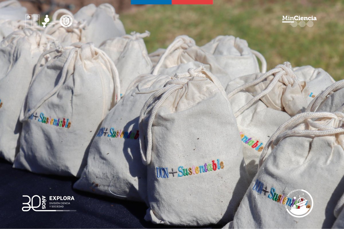 Explora Región Antofagasta tweet media